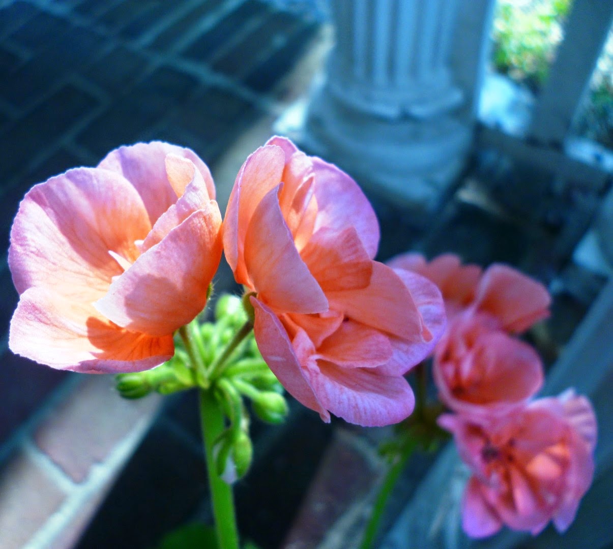 Writing Straight from the Heart The Joy of Pastel ApricotColored