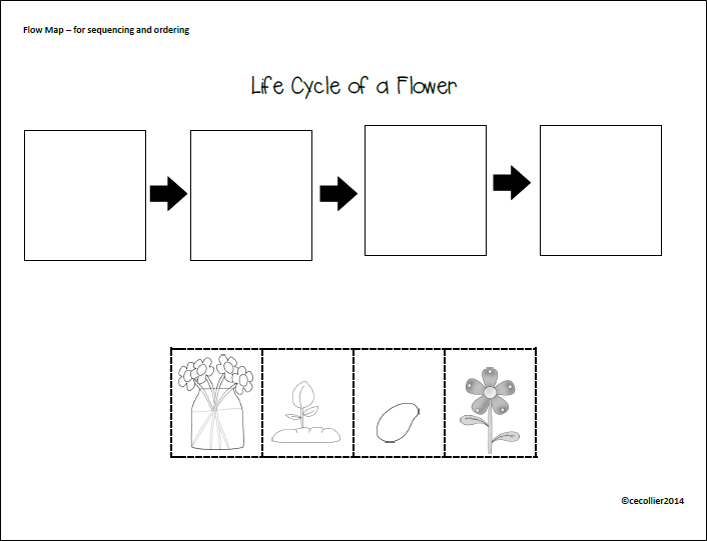 Plant Life Cycle Flow Chart