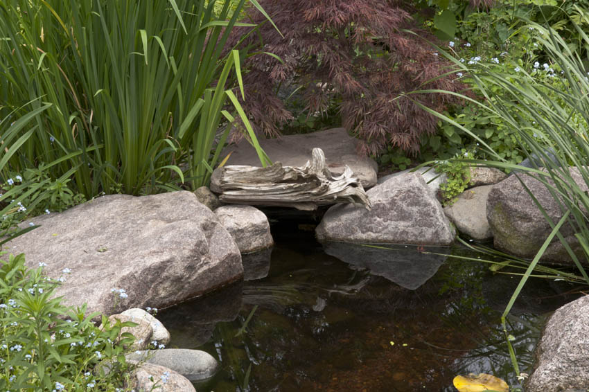 Aquascape Your Landscape Designing Your Dream Pond
