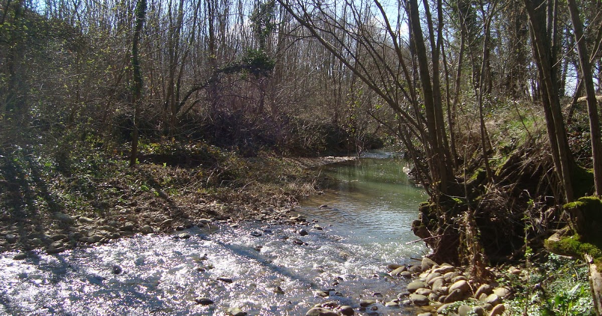 Au bord du ruisseau Pourquoi au bord du ruisseau