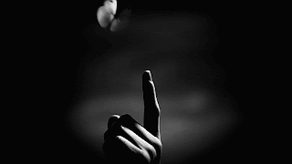 tumblr_ligu2hnpQg1qdwjb5o1_500.gif