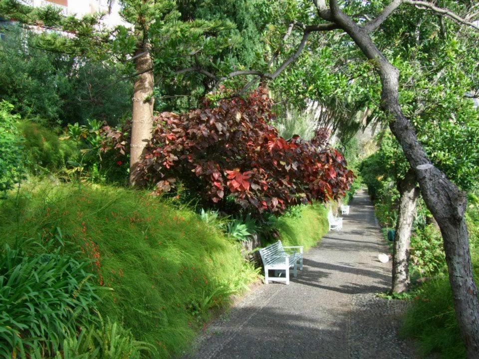 Alternative Eden Exotic Garden Madeira Series Reid's Palace Hotel