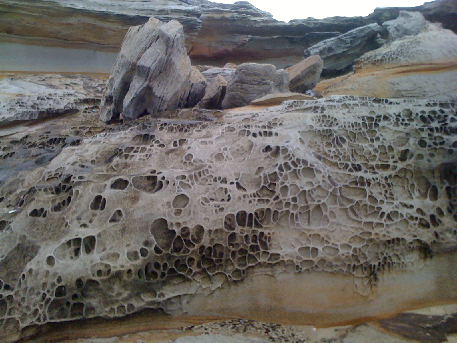 Coastal Weathering