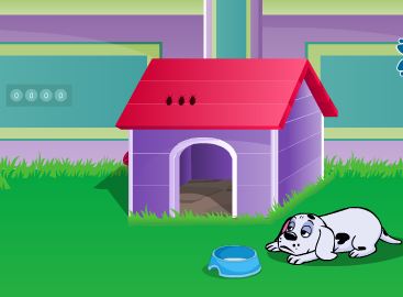 Play9Games Feed My Dog Escape Walkthrough