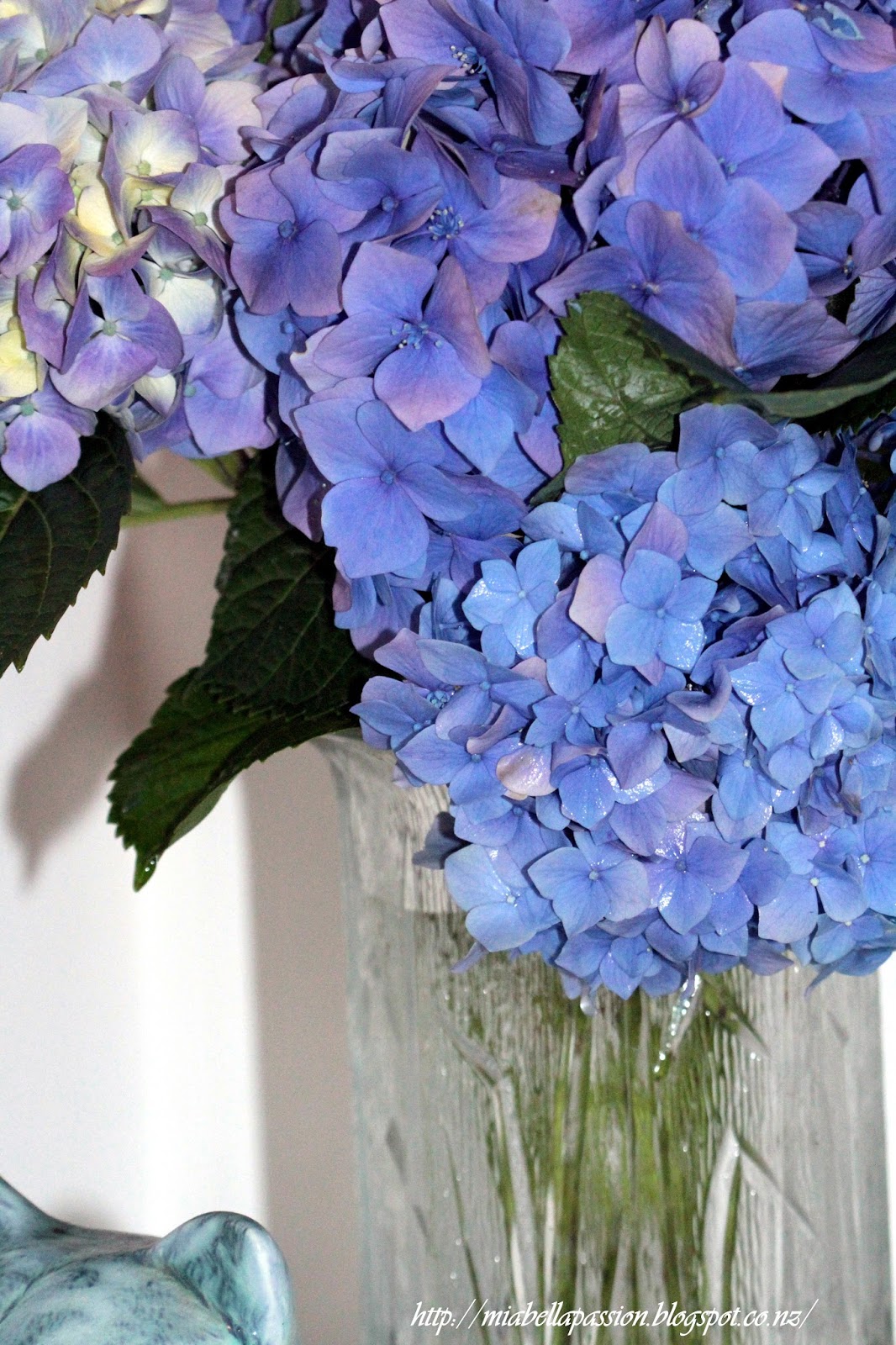 Mia Bella Passions HOW TO STOP Hydrangeas Wilting As A Cut Flower...
