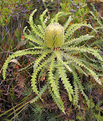 Cape Le Grand National Park