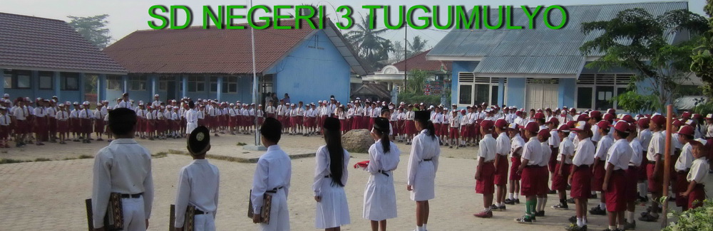 SD Negeri No.3 Tugumulyo