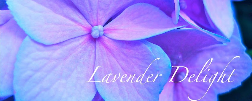 Lavender Delight