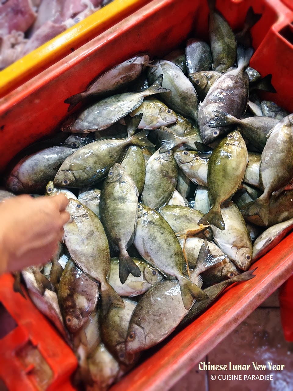 Cuisine Paradise | Singapore Food Blog | Recipes, Reviews And Travel