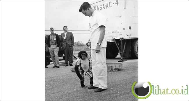 Ham dari Amerika Serikat Ham dari Amerika Serikat