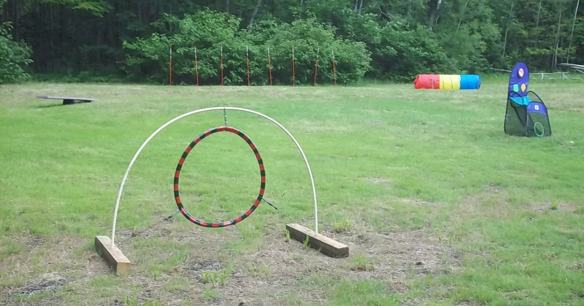 Dog Agility Course at North Hero