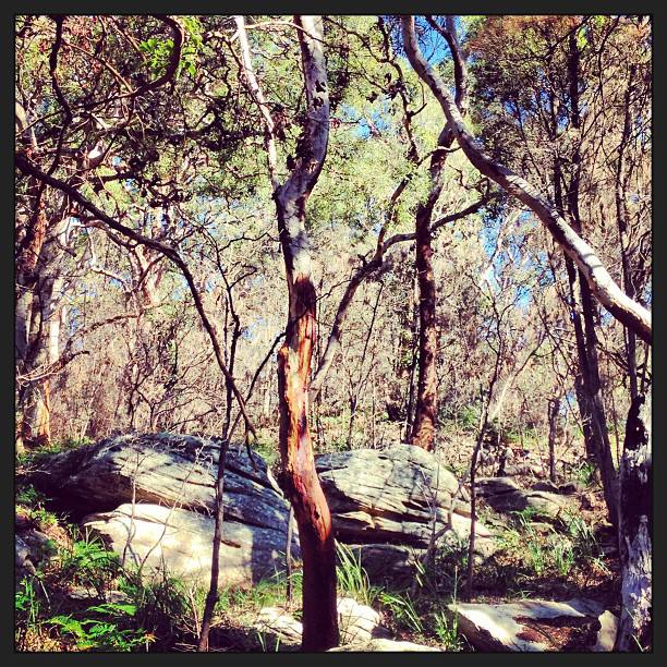 EATspeak A Glimpse of Sydney Winter