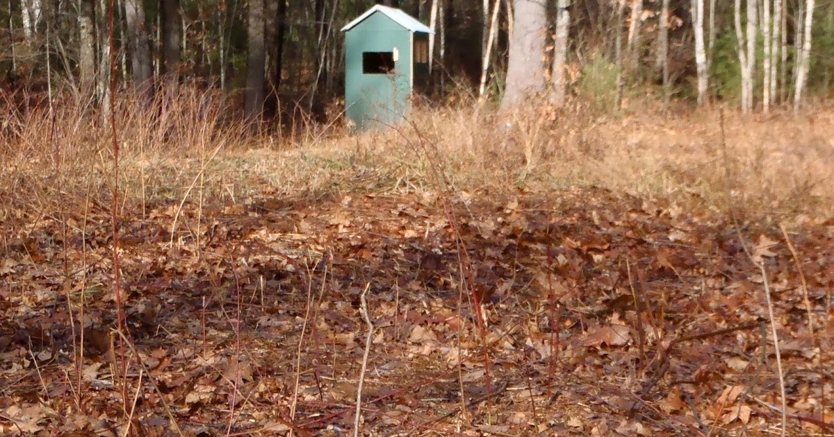 The Maine Outdoorsman Predators, Bait Sites and Ice Fishing Preparations