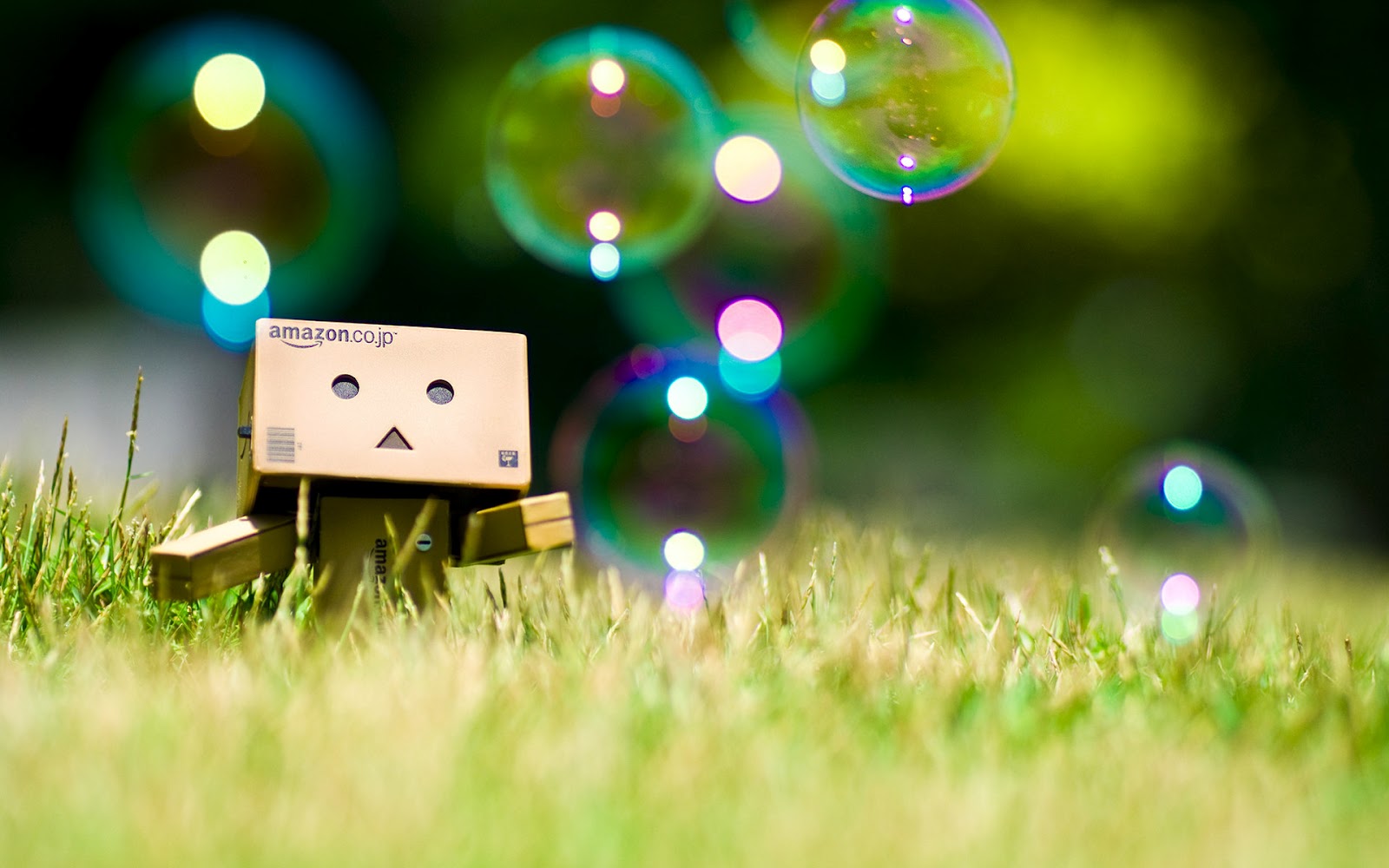 http://1.bp.blogspot.com/-YizfGKjmMtM/T73I3Kmb23I/AAAAAAAAA48/3hJEy5NaP-I/s1600/Danbo_Danboard_photo_282346.jpg