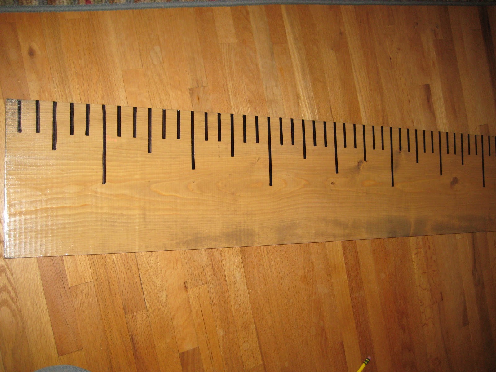 This Blessed Life The Giant Ruler!