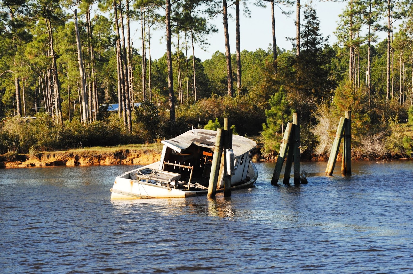 Our Adventures Carrabelle, Florida
