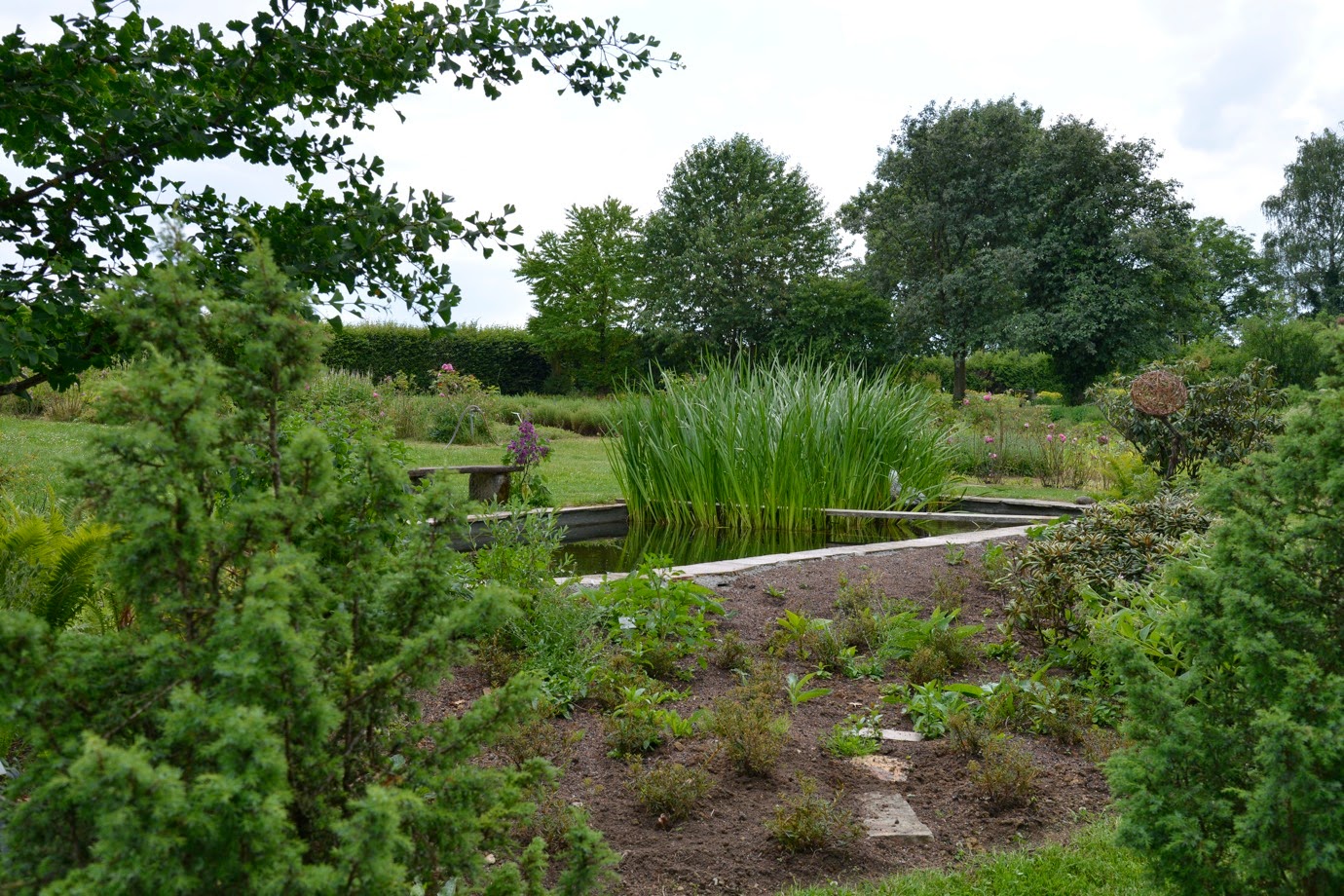 DYWYHSM A DAY AT THE WELEDA GARDEN