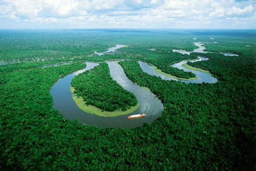 Amazon river view