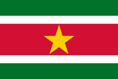 Download Suriname Flag Free