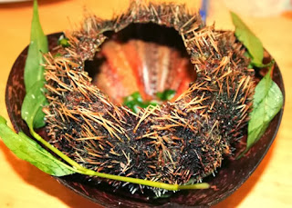 Cầu Gai giúp bổ thận tráng dương Cầu gai giúp bổ thận tráng dương