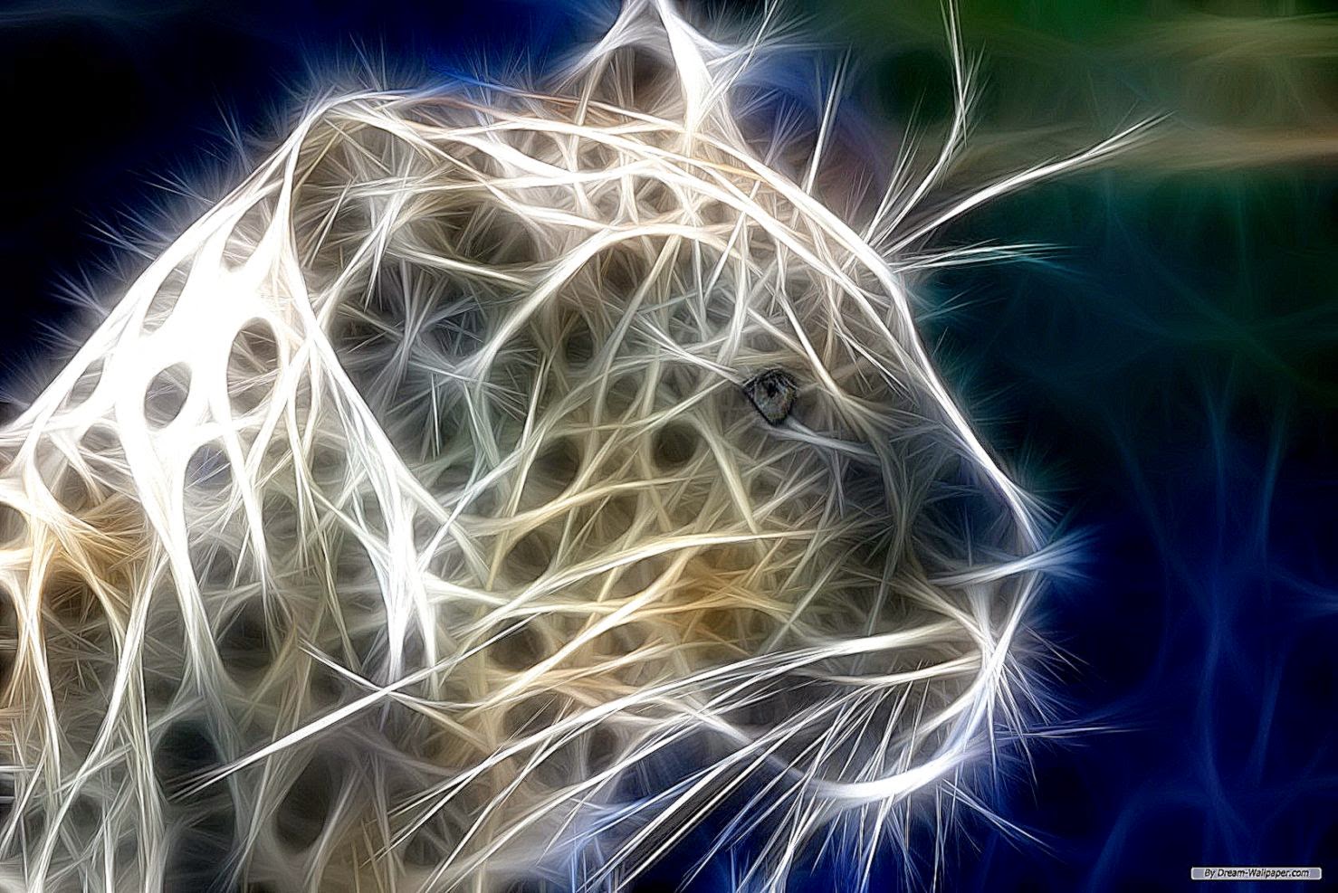 Wallpapers For gt Cool 3d Animal Wallpaper Wallpapers For gt Cool 3d Animal Wallpaper