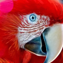 Pintura de una Guacamaya