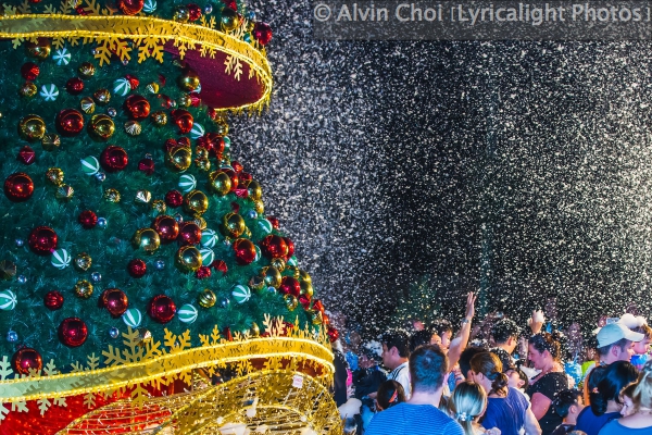 Alvin Choi (Lyricalight Photos) Christmas