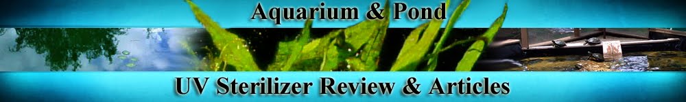 koi-pond-filtration-diagram-uv-sterilizer.jpg