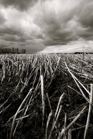 Mobile Phones Wallpaper