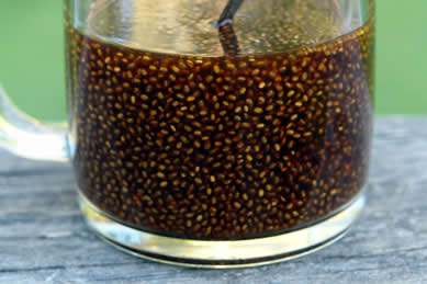 Growing Chia Seeds