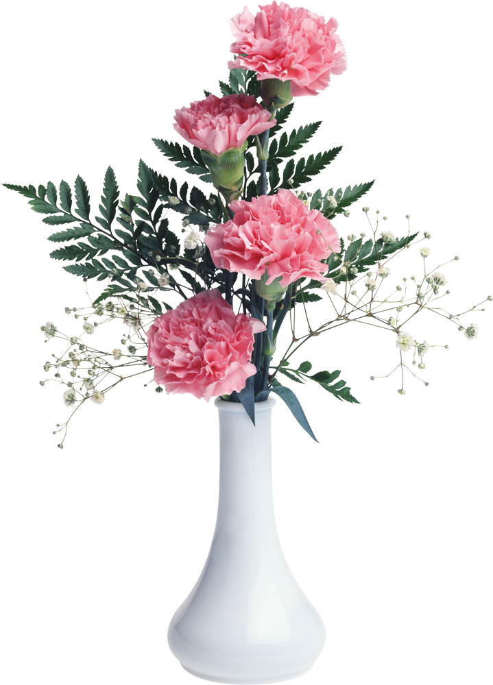 35+ Transparent Transparent Background Flower Vase Png Background