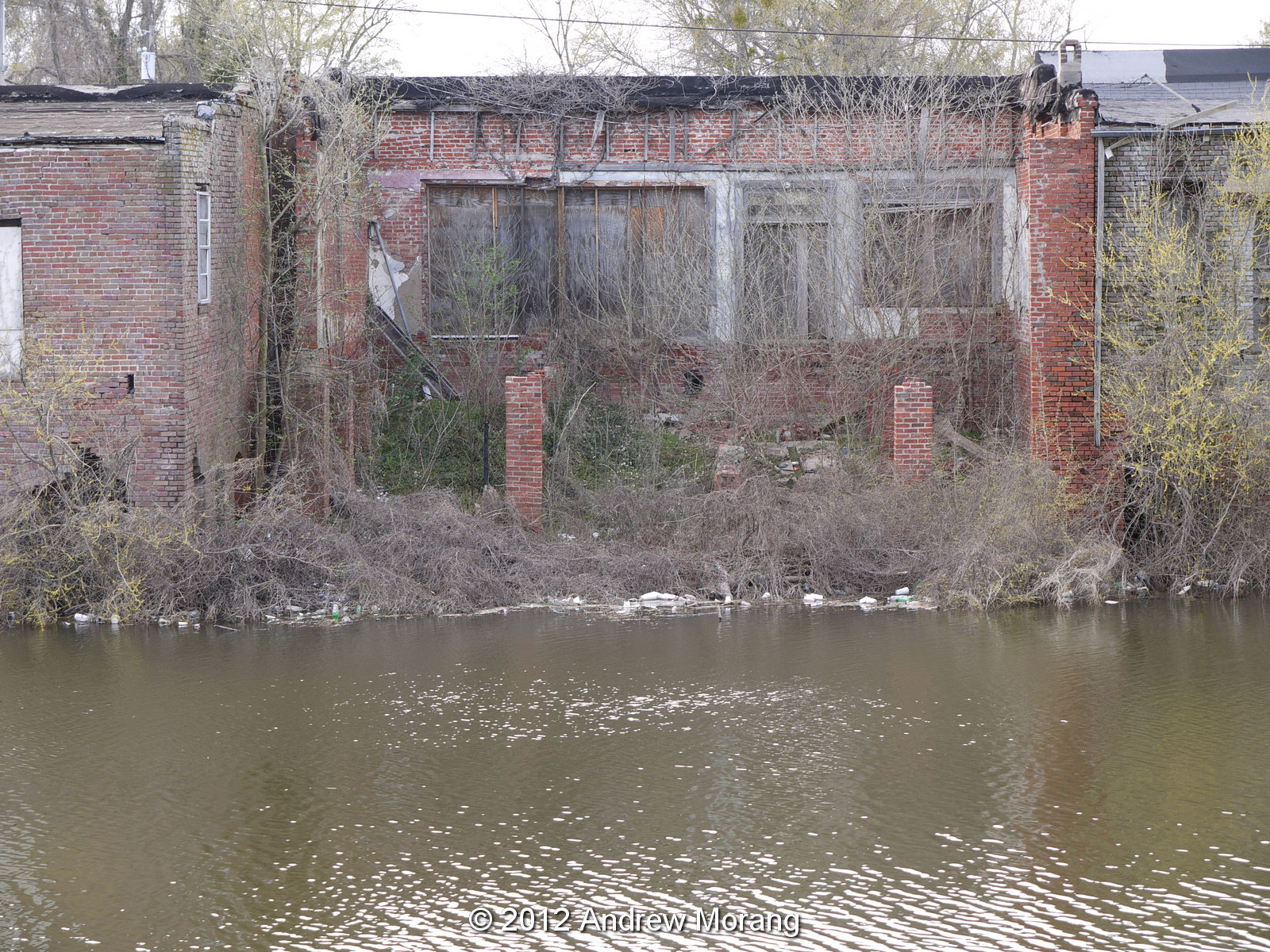 Urban Decay The Mississippi Delta 5 Arcola