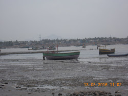 Friday(13-5-2016) :- Arnala Fort Island at "Low Tide".