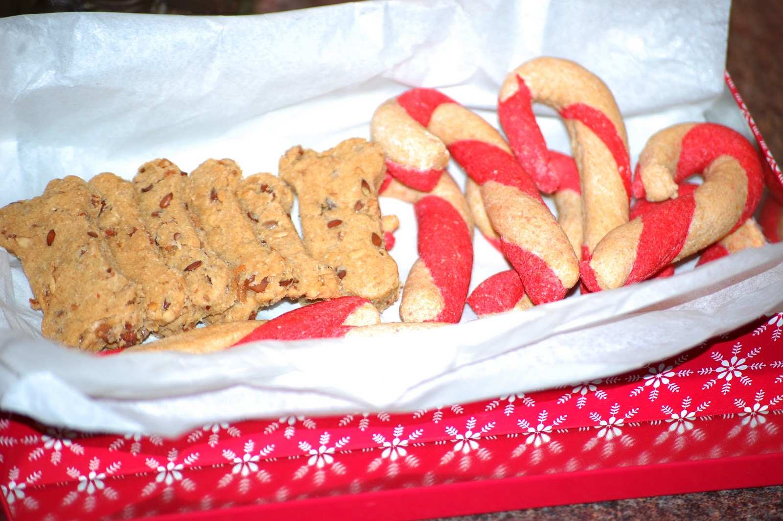 That's What Bob's Cooking Candy Canes....for your dog