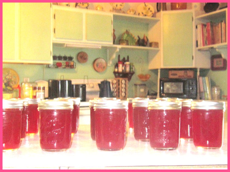 Red Plum Jelly