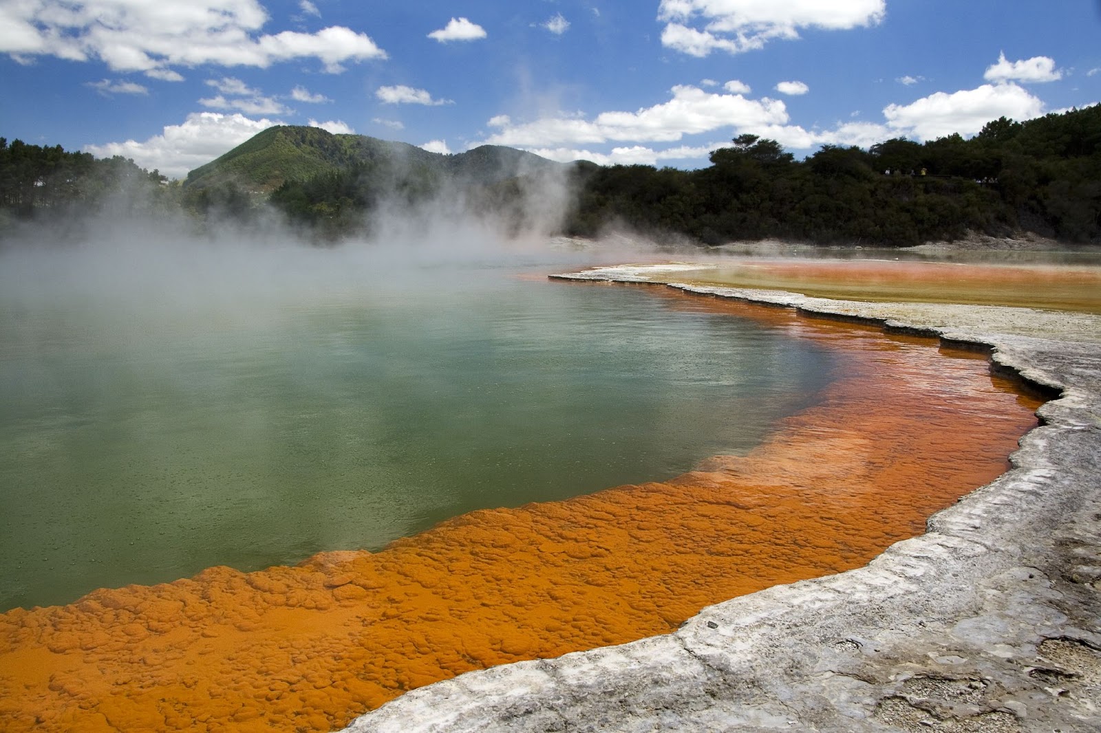 Places of Earth/Lugares de la Tierra Rotorua (New Zealand)