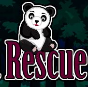 EscapeGamesZone Forest Panda Rescue