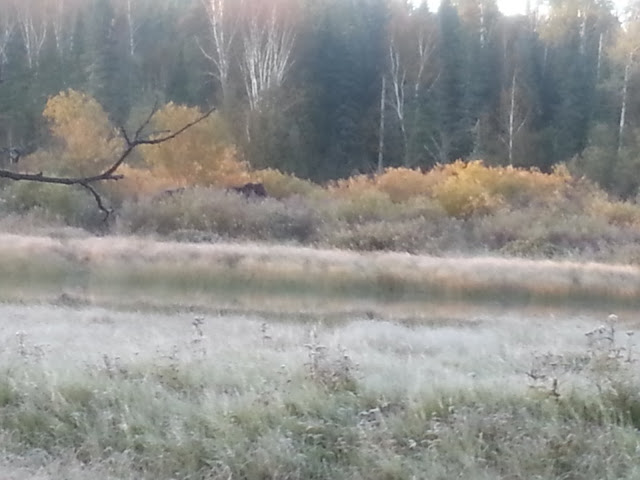 We had a history 12 We had a history canada, moose Hunting