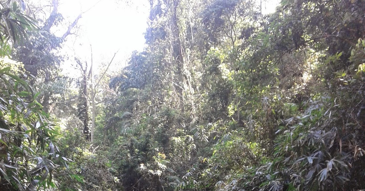 Sister To Call My Own