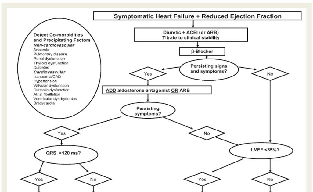 Phimaimedicine 1,120. Systolic heart failure, treatment algorithm