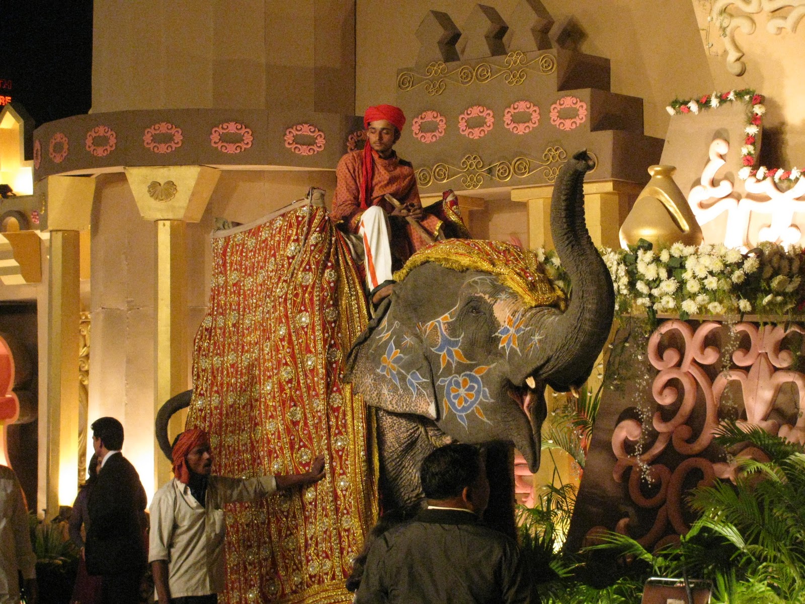 Swimming In India Filming Elephants At An Indian Wedding