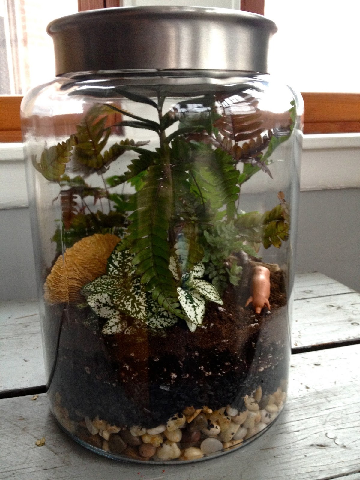 custom-terrarium-bearded-dragon-3 custom-terrarium-bearded-dragon-3