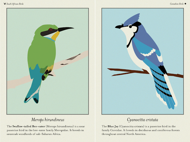 illustrations of a Swallow-tailed Bee-eater and a Blue Jay