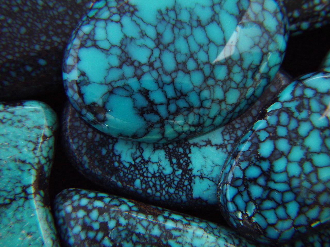 Carusetta Jewelry High Grade Natural Turquoise