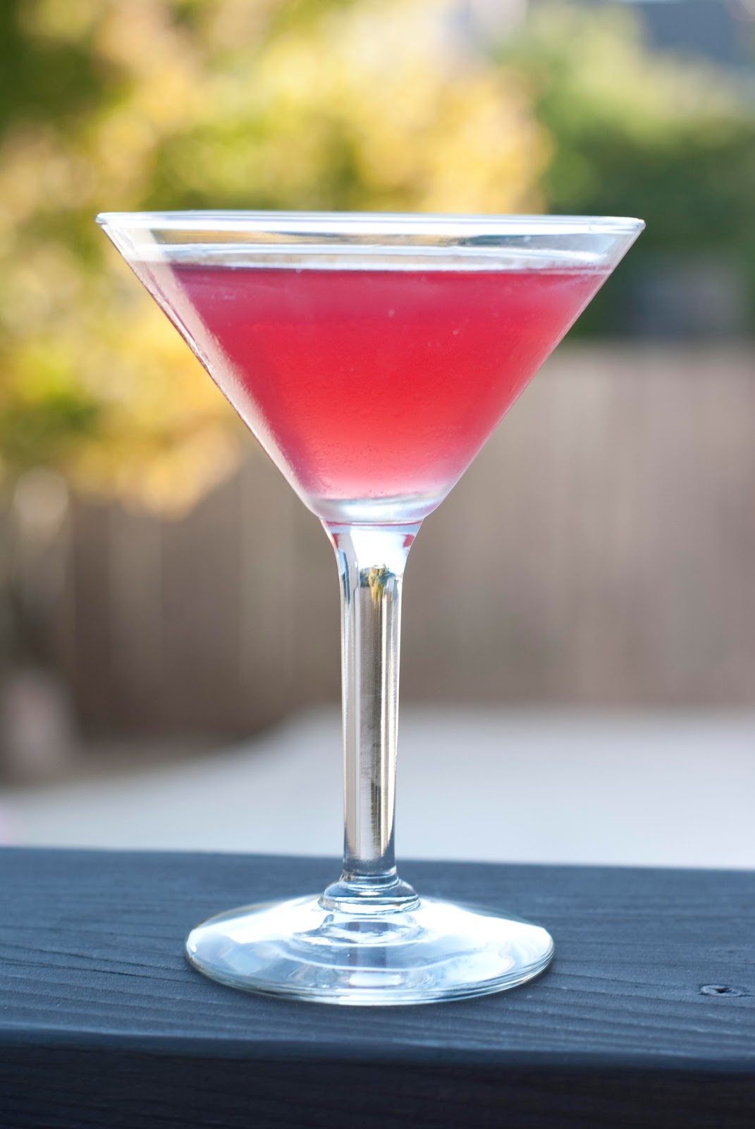 Cranberry Martini - A Year of Cocktails