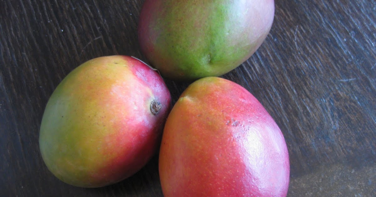 Edible Tropicals How to Grow Mangoes from seed