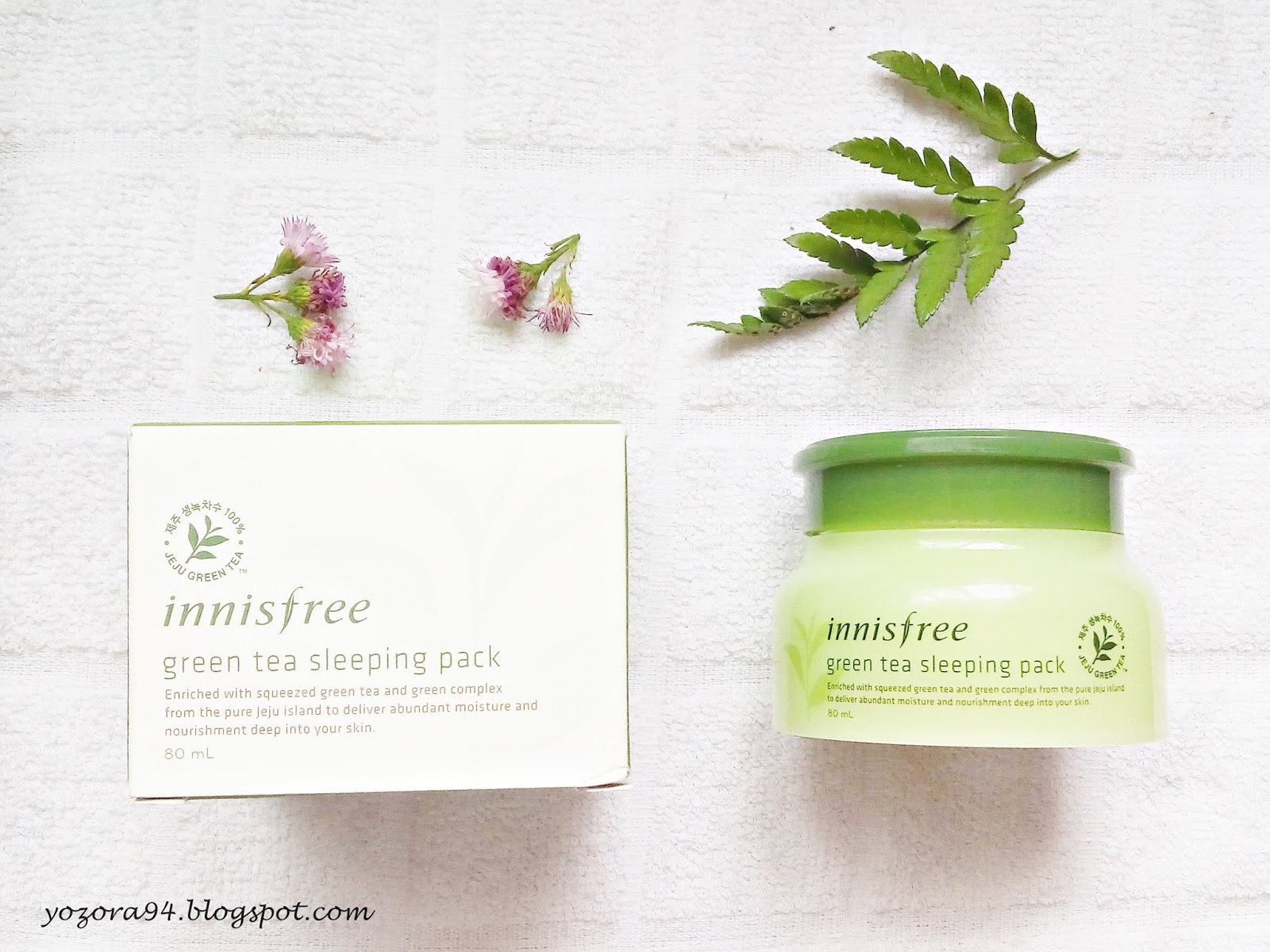Review Innisfree Green Tea Sleeping Pack Ell's Beauty Diary ☁