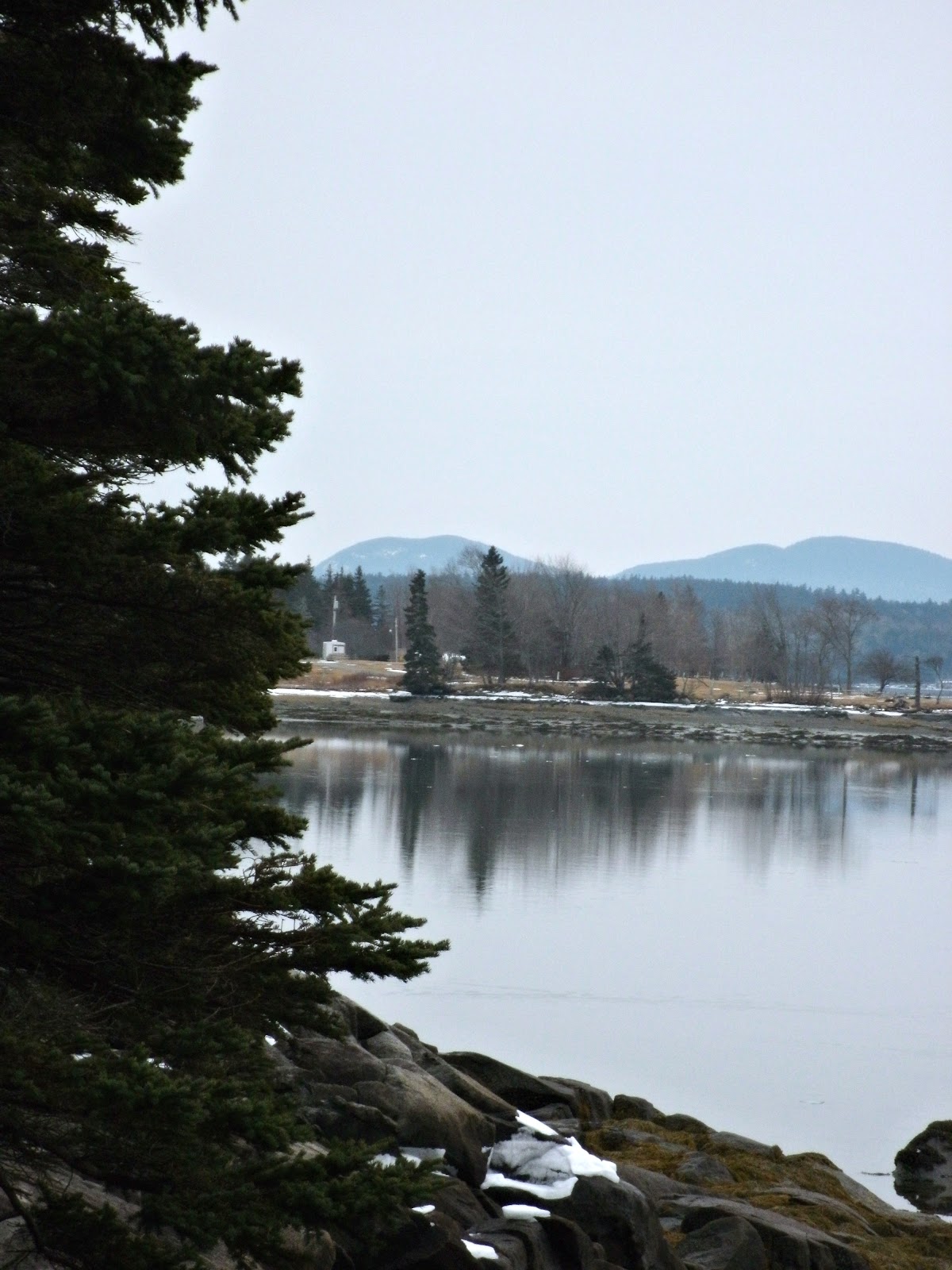 A Southern Belle in Maine