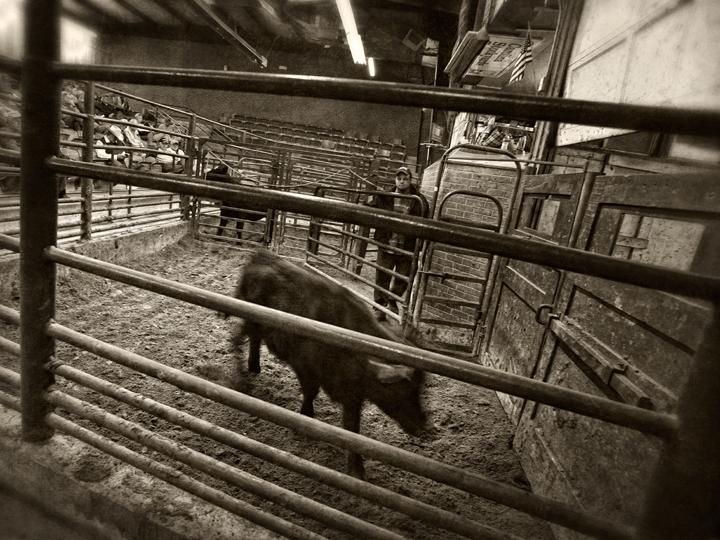 Dan Routh Photography At the Stockyard