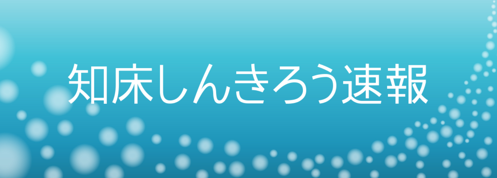 知床しんきろう速報